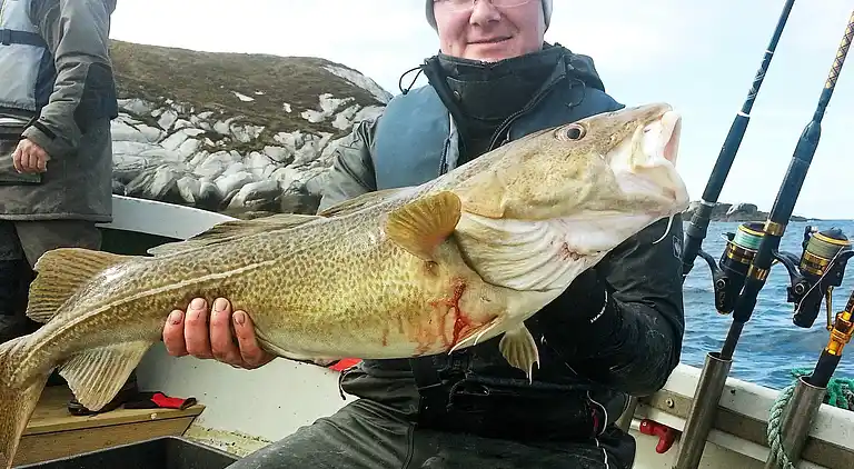 Sommerhus i Urangsvåg