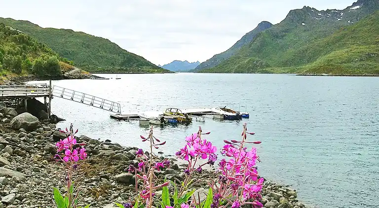 Holiday home in Hadsel