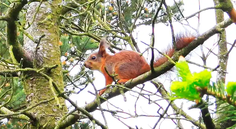 Sommerhus i Houstrup