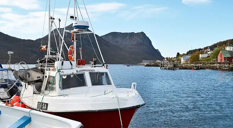 Holiday home in Torsken Municipality