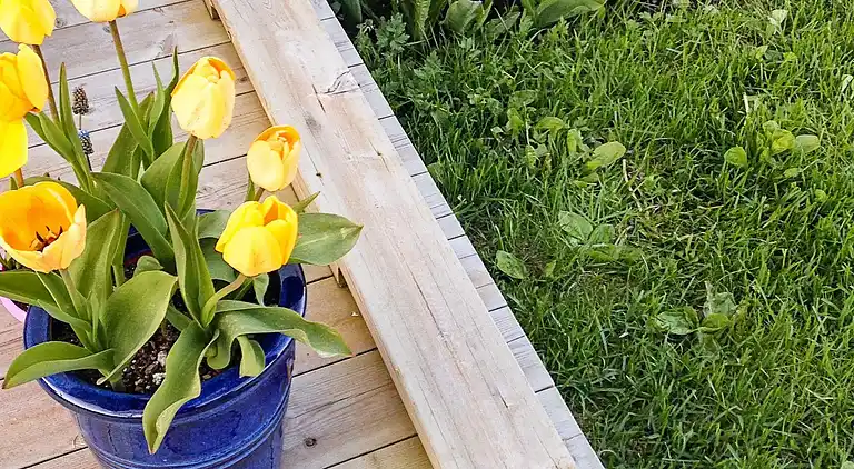 Sommerhus i Flakstad