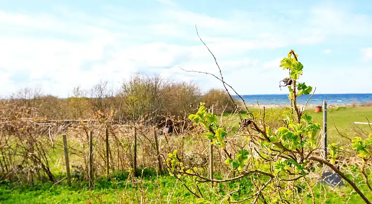 Sommerhus i Løgstør
