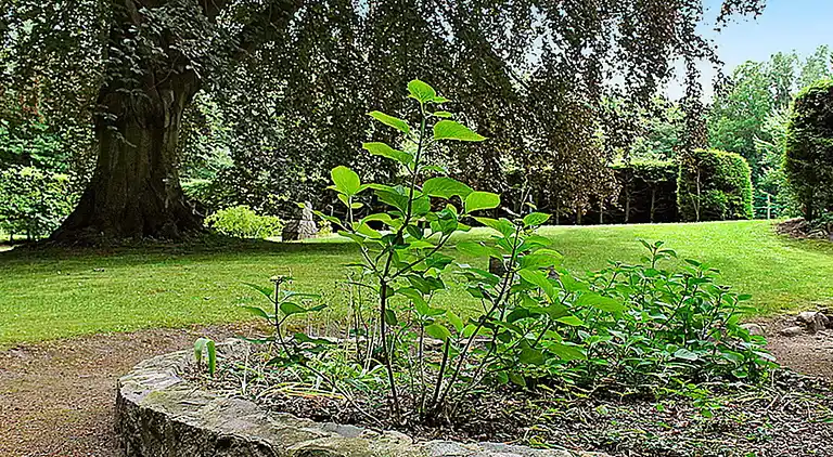 Feriebolig i Gronenberg