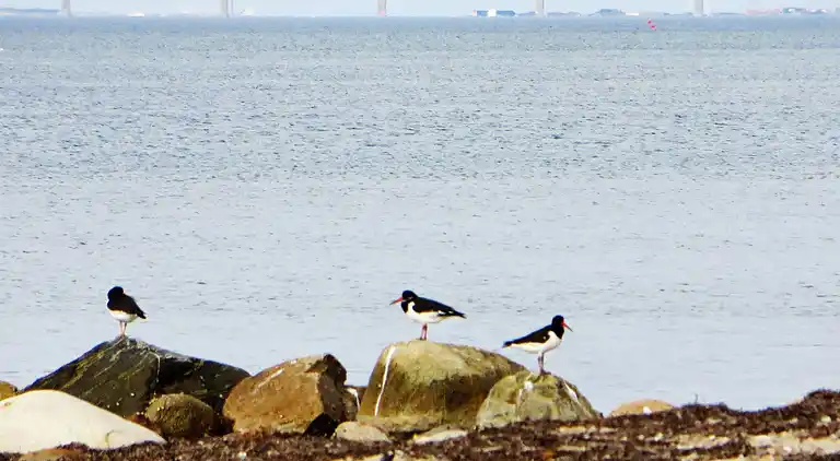 Holiday home in Spøttrup