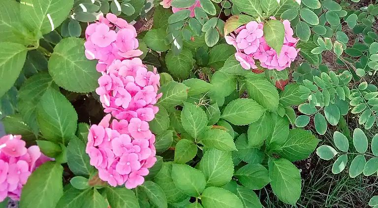 Holiday home in Øster Hurup