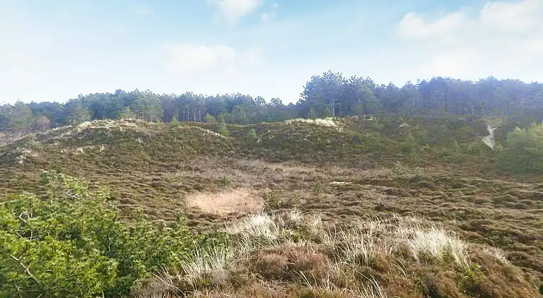 Holiday home in Bolilmark