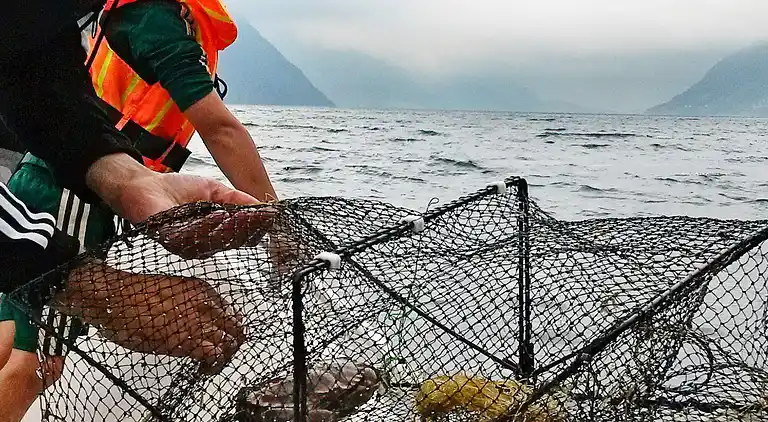 Holiday home in Ørsta Municipality