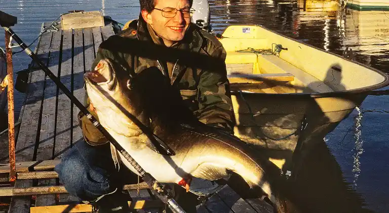 Holiday home in Torsken Municipality