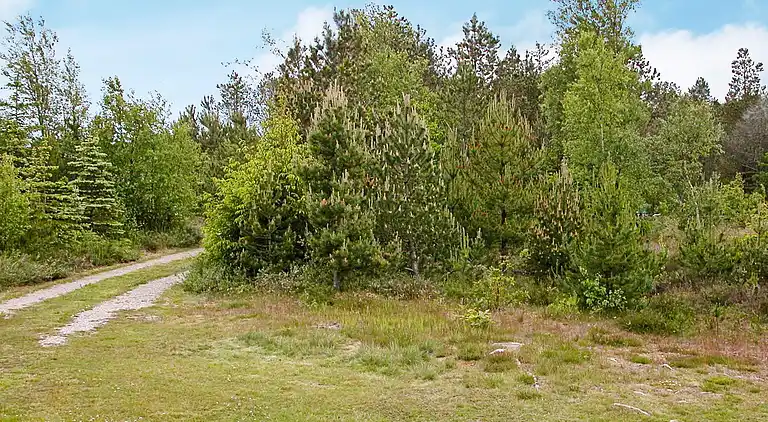 Holiday home in Ålbæk