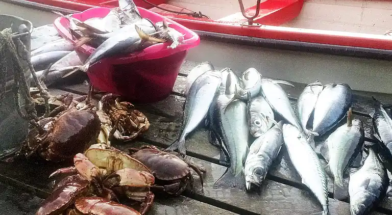 Holiday home in Vanylven