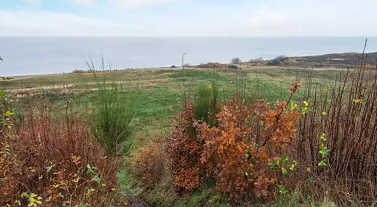 Sommerhus i Allingåbro