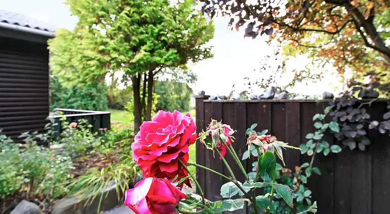 Holiday home in Mesinge