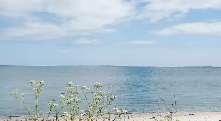 Sommerhus ved Ajstrup Strand
