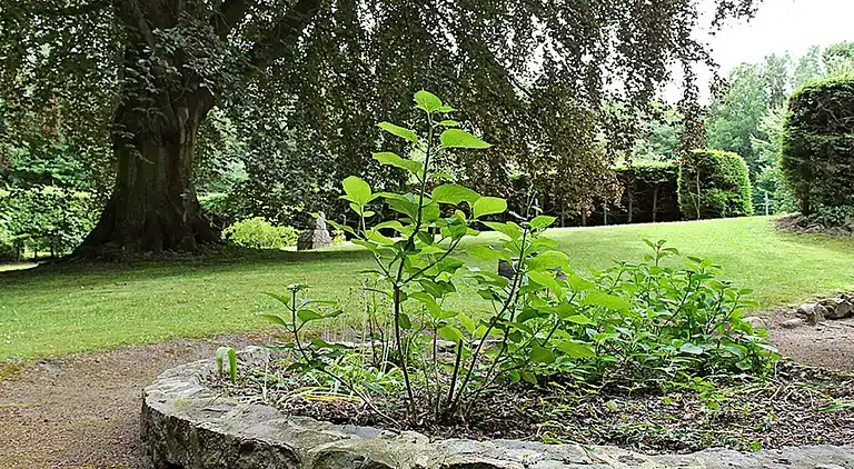 Sommerhus i Gronenberg