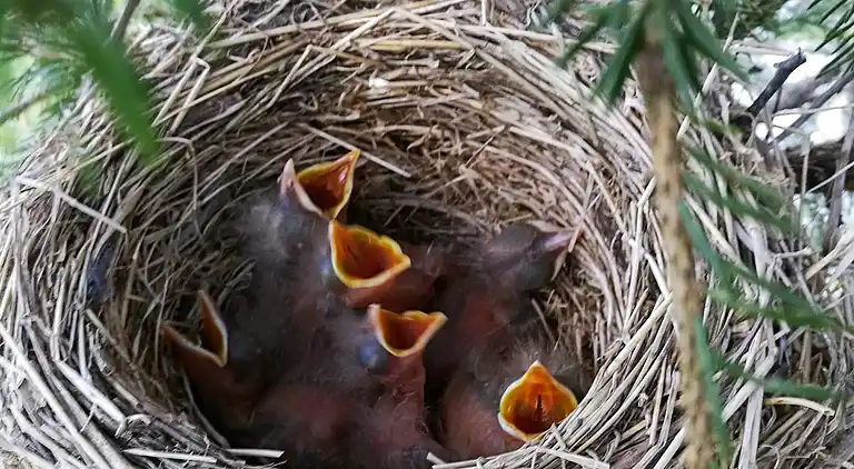 Holiday home in Vanylven