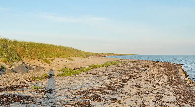 Holiday home in Rødby
