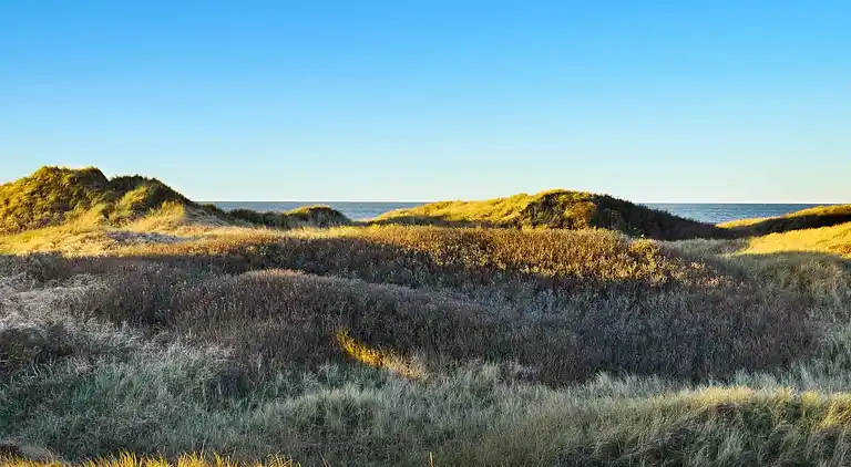 Holiday home in Grønhøj