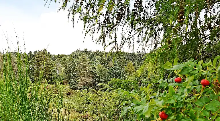 Holiday home in Brovst