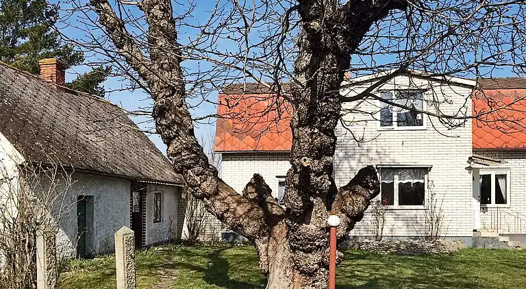 Holiday home in Borgholm N