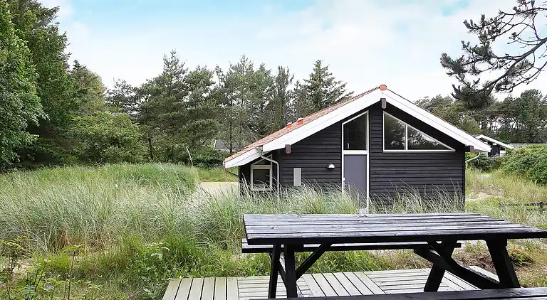 Sommerhus i Skagen