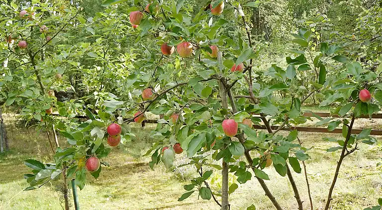 Sommerhus i Landskrona