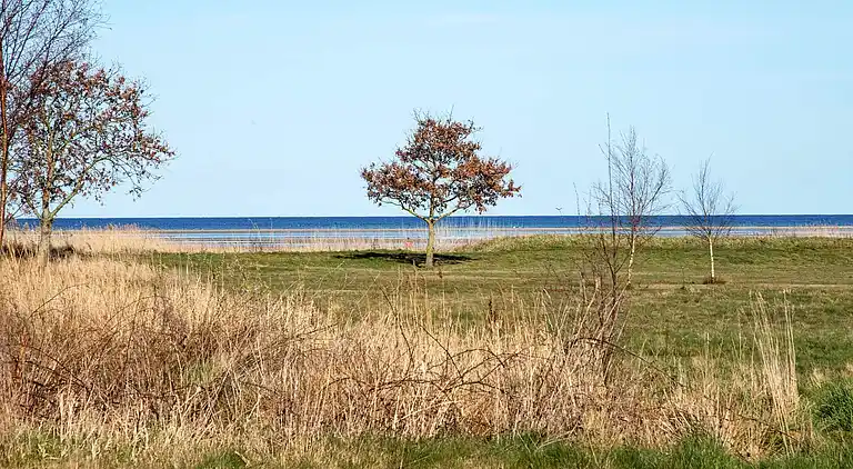 Holiday home in Ørsted