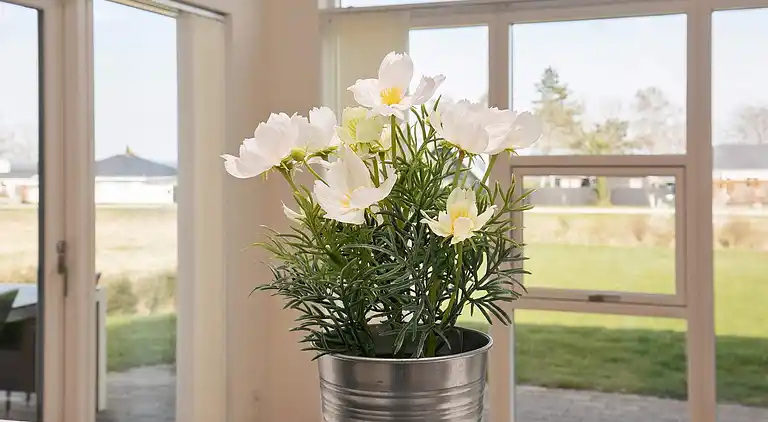 Semesterbostad i Frørup