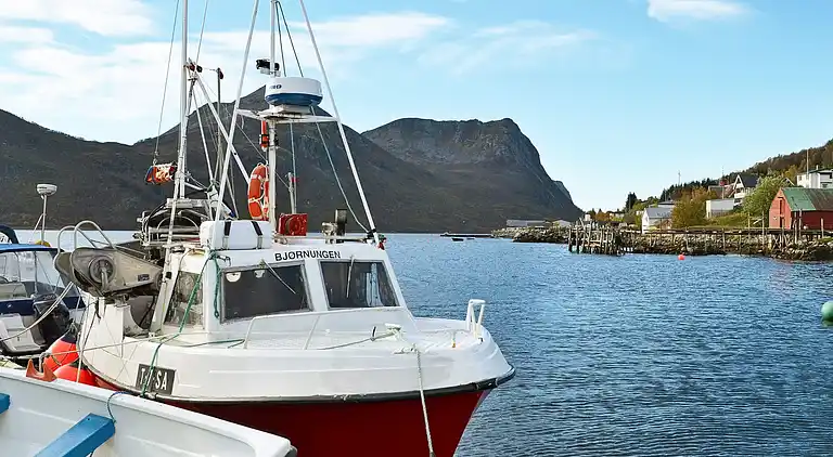 Holiday home in Torsken Municipality