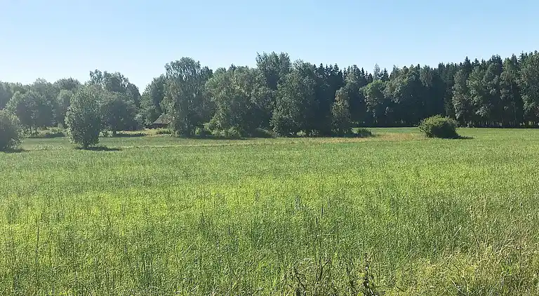 Vakantiehuis in Vara