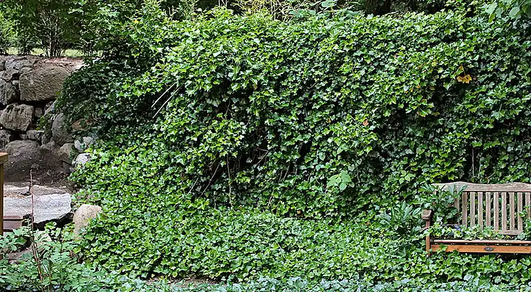 Holiday home in Gronenberg