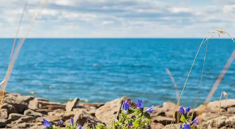 Holiday home in Borgholm N