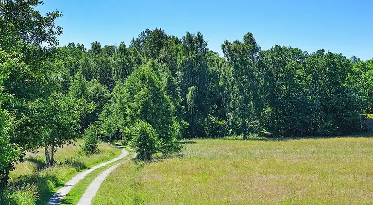 Holiday home in Risdal