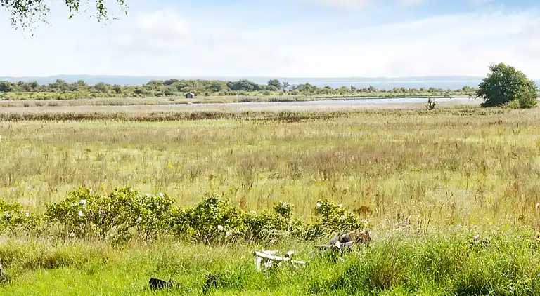 Casa vacanze in Kristianstad Ö