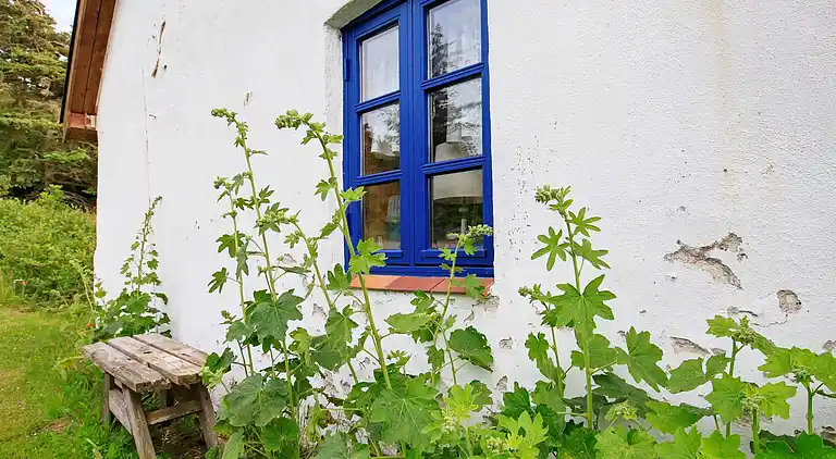 Sommerhus i Løgstør