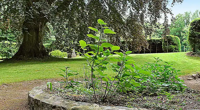 Sommerhus i Gronenberg