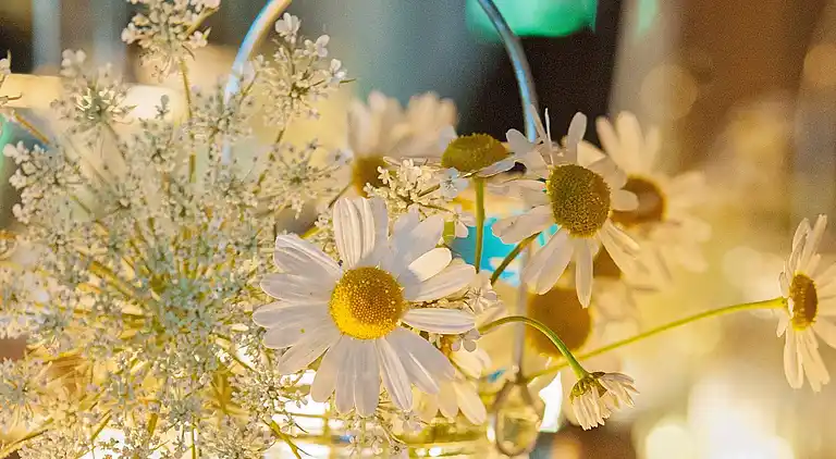 Semesterbostad i Gronenberg