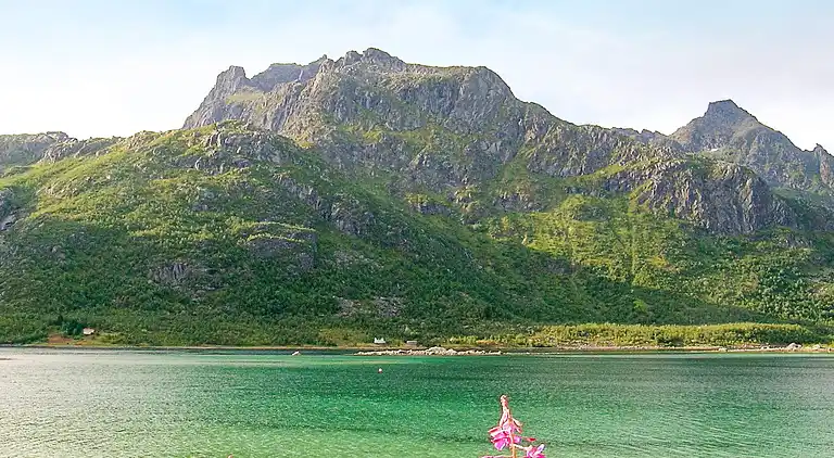 Vakantiehuis in Hadsel