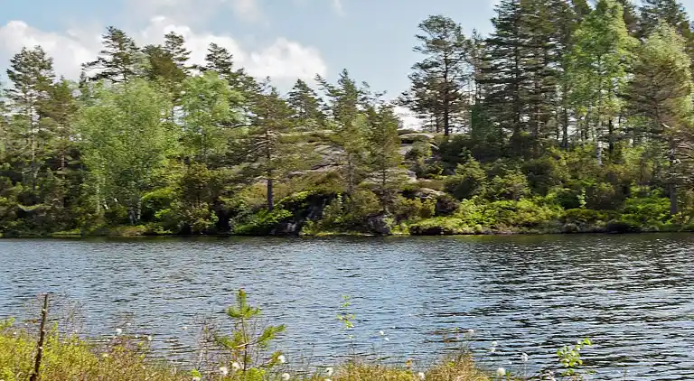 Casa vacanze in Foss