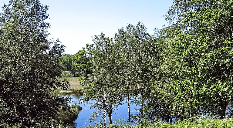 Maison de vacances en Höör S