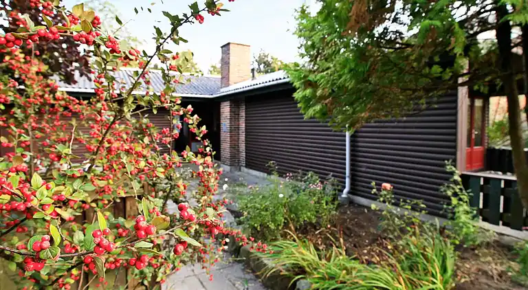 Holiday home in Mesinge