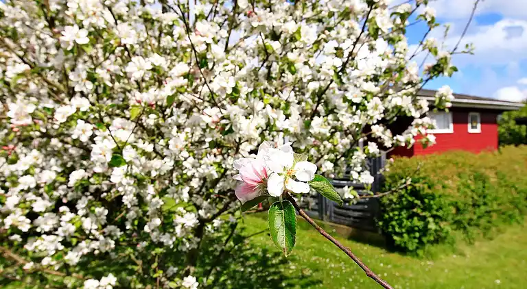 Holiday home in Otterup