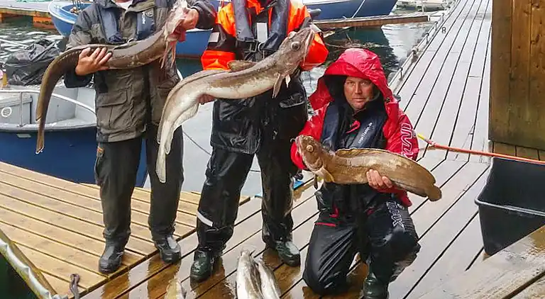 Sommerhus i Urangsvåg