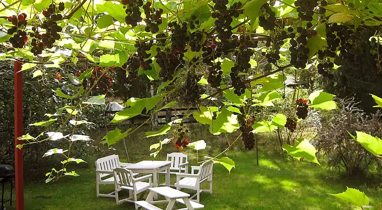 Sommerhus i Landskrona