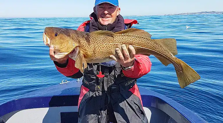 Sommerhus i Urangsvåg