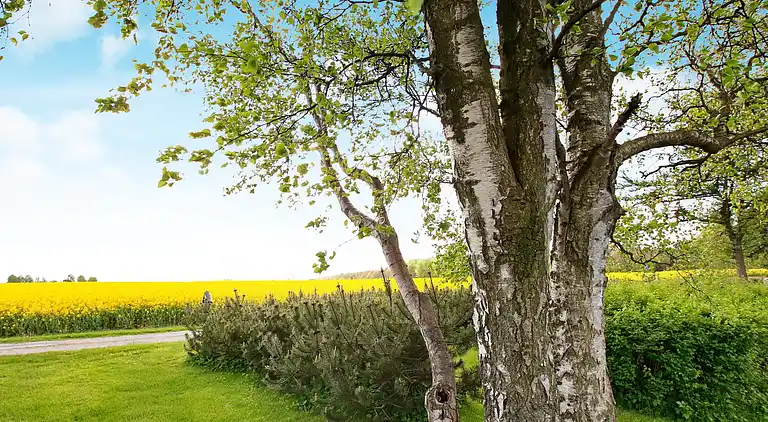 Holiday home in Otterup