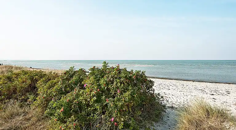 Holiday home in Fjellerup Strand