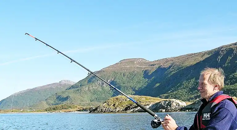 Holiday home in Flesnes