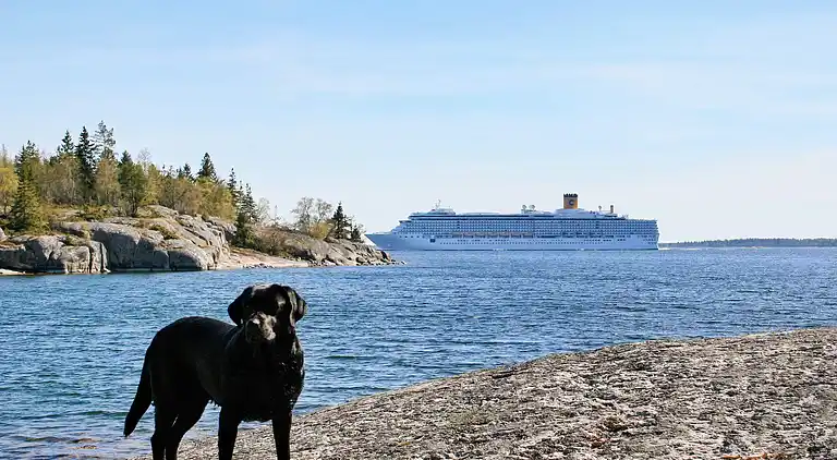 Sommerhus i Norrtälje N