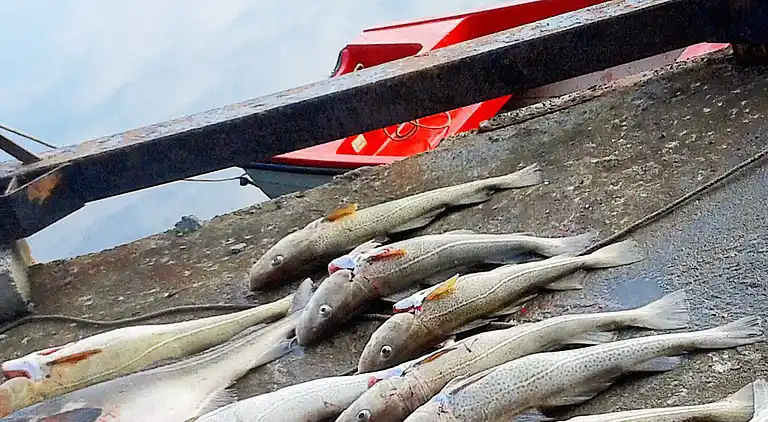 Holiday home in Vanylven