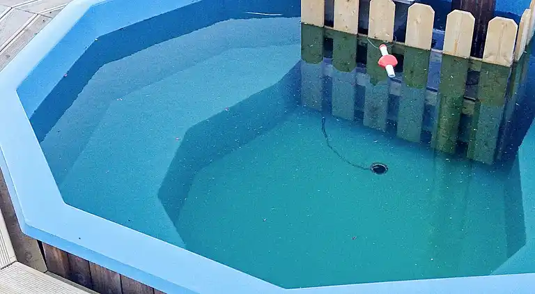 Sommerhus i Flakstad